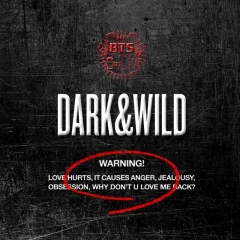 BTS Dark & Wild – lyrics and fanchants for songs on Dark & Wild